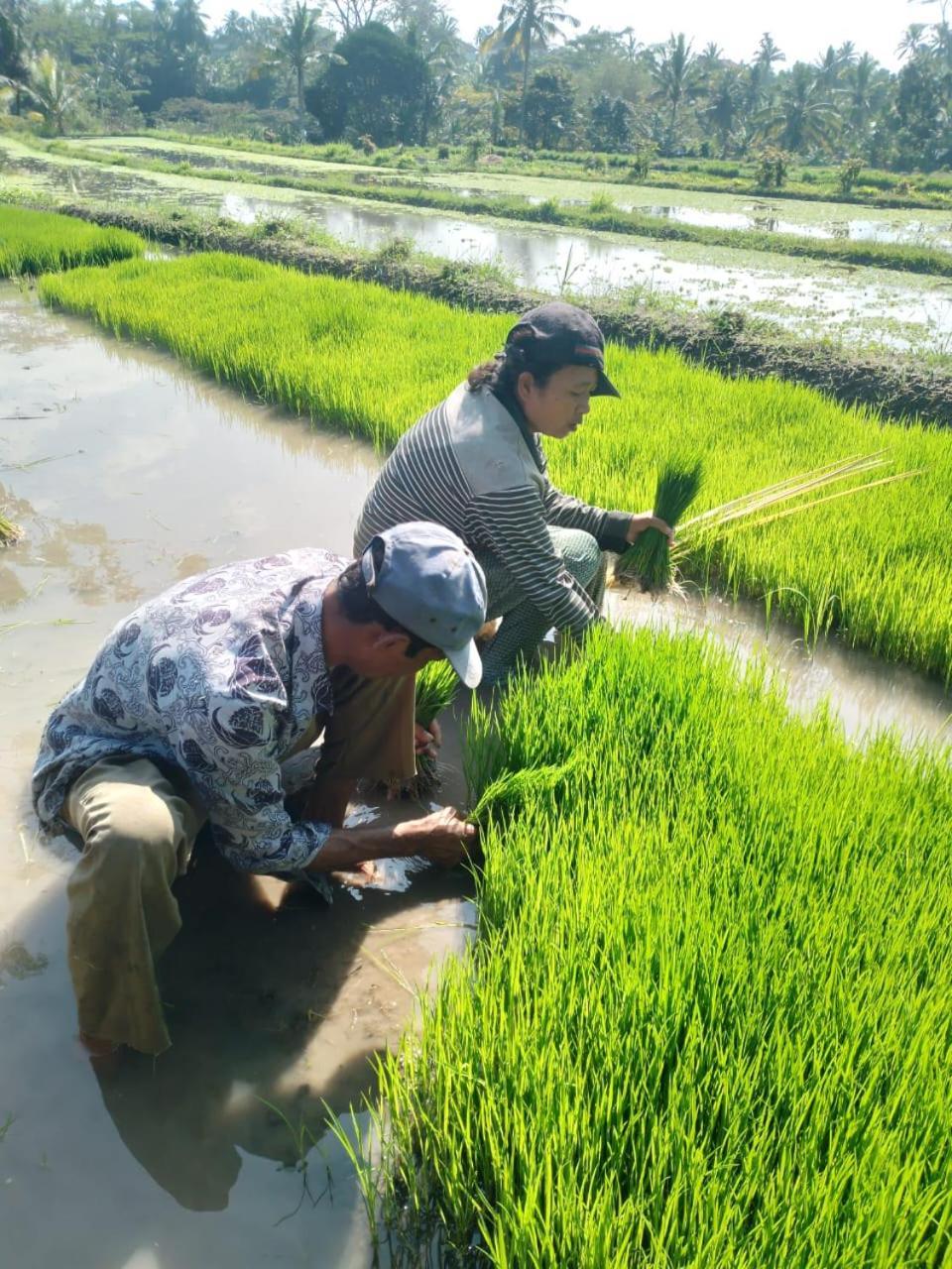 Wikan House Bebandem Ngoại thất bức ảnh